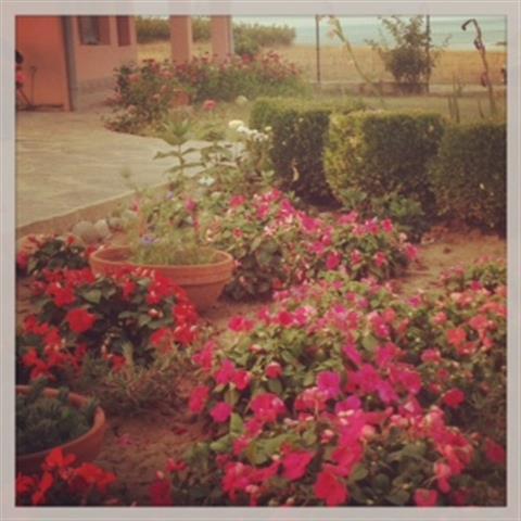 Dream Bay Family Hotel Tsarevo Dış mekan fotoğraf